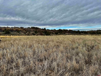 000 T5 Rd, Dolores, CO 81323 - photo 5