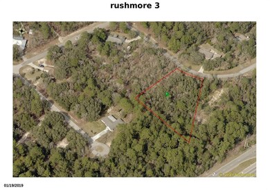 rushmore 3_p001