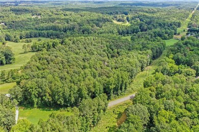 0 Upper Bethany Rd unit 7619918, Ball Ground, GA 30107 - photo 5