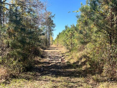 Henry Co Rd 46, Shorterville, AL 36373 - photo 4