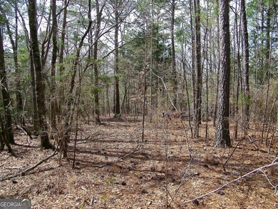 LOT 5 Blackberry Bend, Elberton, GA 30635 - photo 6