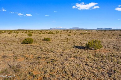 591 S Palmetto Rd, Valle, AZ 86046 - photo 5