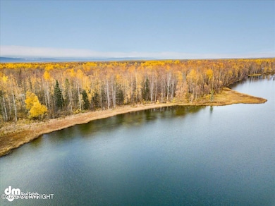 10579 N Little Lonely Lake Rd, Willow, AK 99688 - photo 6