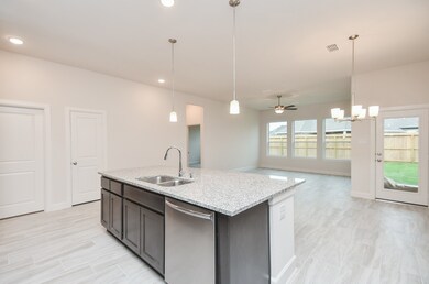 146 Amaranth Way, Richmond, TX 77406 - photo 7