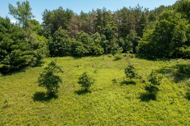29 Acres on Coulter (13 of 19)