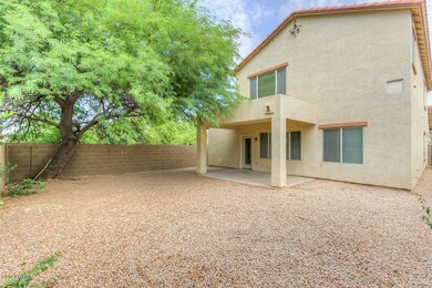 Large mature shade tree out back