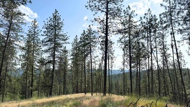 NKA Way, Deer Park, WA 99006 - photo 5