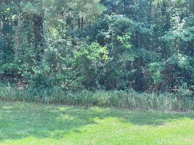 190 Ella Point, Lumberton, MS 39455 - photo 3