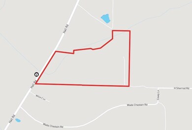 6880 Hall Rd, Coolidge, GA 31738 - photo 4