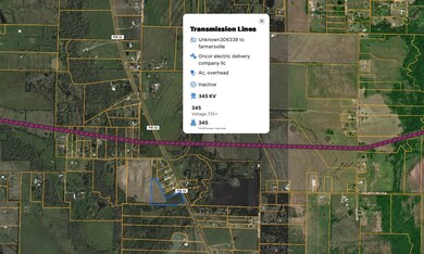 000 Farm To Market 36, Farmersville, TX 75442 - photo 4