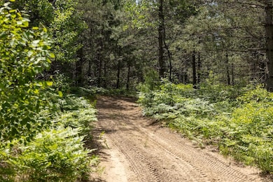 00 V/L W 13 Mile Rd unit Par E, Bitely, MI 49309 - photo 2