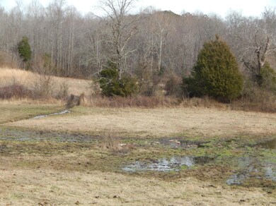 0 Toy Slatten Rd unit 931715, Sparta, TN 38583 - photo 3