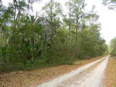 0 Noles Ln unit 302968, Crawfordville, FL 32327 - photo 3