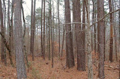 199 Riverbend Rd, Fair Play, SC 29643 - photo 4