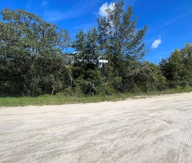 0 23-12-17 Oak Ridge Estates Blk 27 Lot 1 unit MFRT3474649, Williston, FL 32696 - photo 3