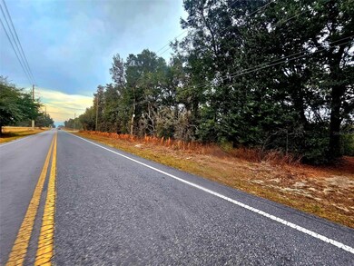 0 SW 140th Ave unit MFROM714614, Dunnellon, FL 34432 - photo 5