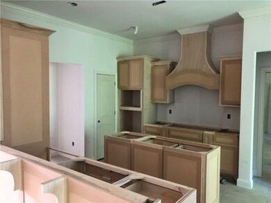 Custom cabinets with granite tops and stainless appliances to come.