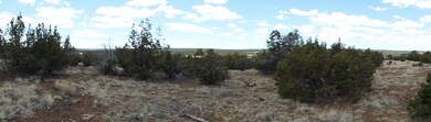 Approx Middle of Lot