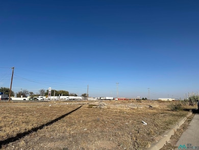 3306 N Dal Paso St, Hobbs, NM 88240 - photo 3