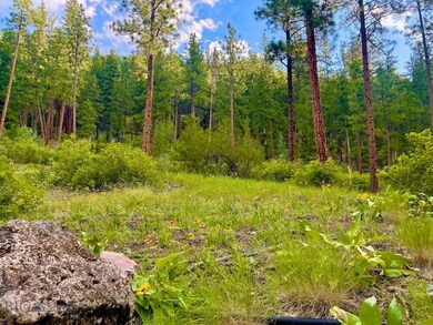 NHN Tract 3 Railroad Ave, Alberton, MT 59820 - photo 2