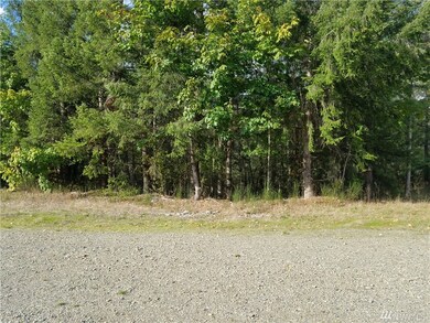 0 177th St E unit 1371640, Orting, WA 98360 - photo 4