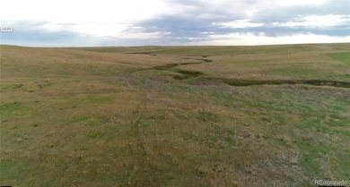 Overview of eastern portion of Lot 13 from drone footage