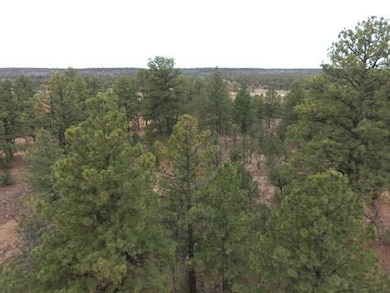 DJI_0025