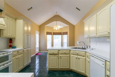 3040 Sassy Rd, Conway, AR 72034 - photo 4