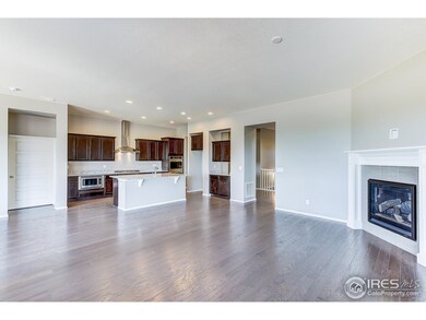 6012 Story Rd, Timnath, CO 80547 - photo 3