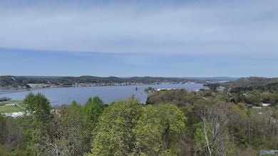 Lot 2 Woodvue Rd, Guntersville, AL 35976 - photo 2