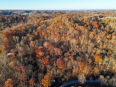 0 Williams Hollow Rd, Crown City, OH 45623 - photo 2