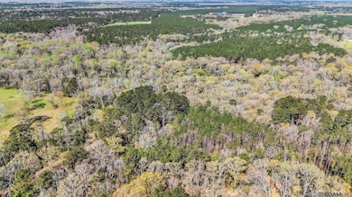 tbd Beechgrove Rd, Clinton, LA 70722 - photo 4