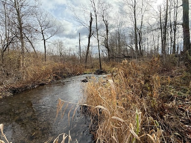 WP01 Caswell Rd, Freeville, NY 13068 - photo 4