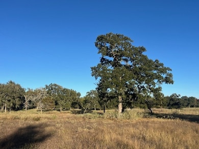 1311-A Alleyton Rd, Columbus, TX 78934 - photo 3