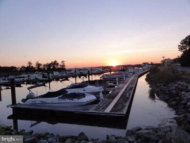 29664 Colony Dr unit C14, Dagsboro, DE 19939 - photo 3