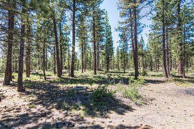 Jacinto Rd 16939 (6 of 41)