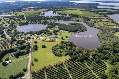 17937 County Road 448, Mount Dora, FL 32757 - photo 6