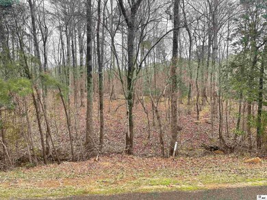 0 Tremont Dr, Ruston, LA 71270 - photo 4