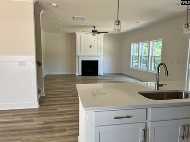 1019 Beaufort Farm Rd, Blythewood, SC 29016 - photo 6