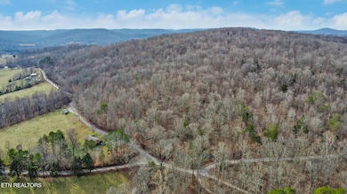 0 Shellotte Loop, Pall Mall, TN 38577 - photo 3