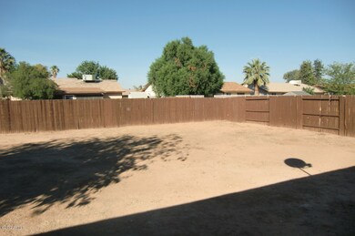 'New Home-Like' Yard--(but for the Tree)