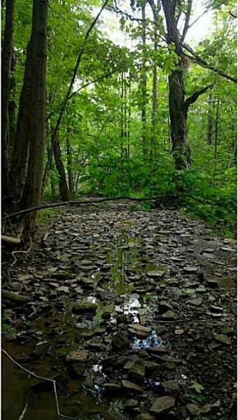 9789 Dow Rd, Freedom, NY 14065 - photo 7