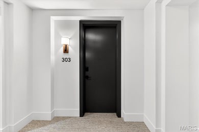 16460 Wildhorse Lake Blvd unit 303, Chesterfield, MO 63005 - photo 4