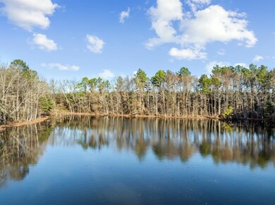 2 Big Pines, Broken Bow, OK 74728 - photo 4