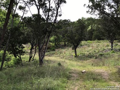 20710 Osprey Way, San Antonio, TX 78256 - photo 5