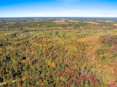 8653 Alder Ln, Suring, WI 54174 - photo 4