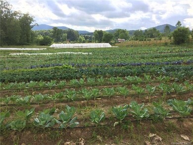 11 Walnut Valley Pkwy unit 9, Avery Creek, NC 28704 - photo 7