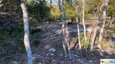 16210 Brazos Ct, Temple, TX 76502 - photo 5