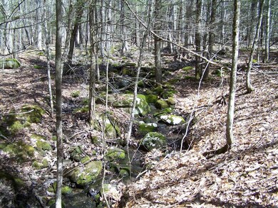 Water is what this easement is all about - protect