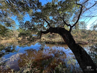 0 Bayou Shores Dr unit 371464, Coden, AL 36523 - photo 5